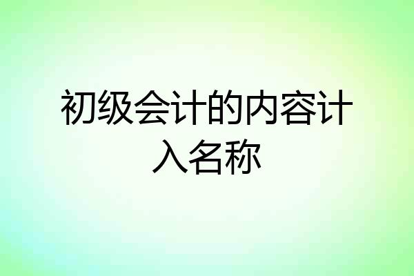 初级会计的内容计入名称