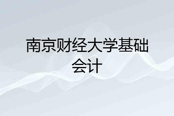 南京财经大学基础会计