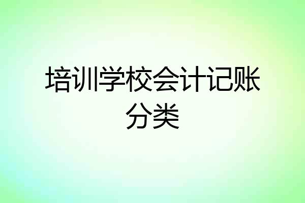 培训学校会计记账分类