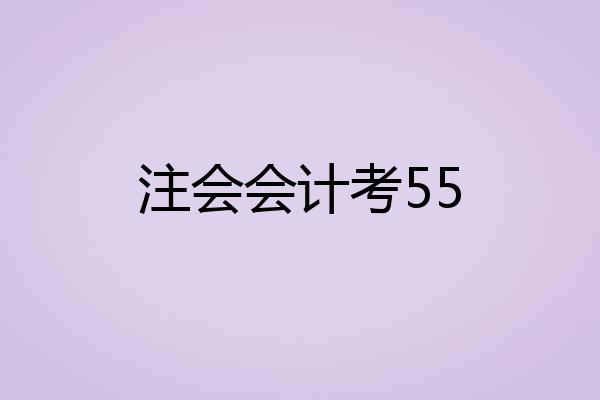 注会会计考55