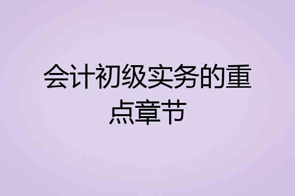 会计初级实务的重点章节
