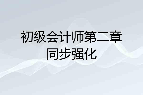 初级会计师第二章同步强化