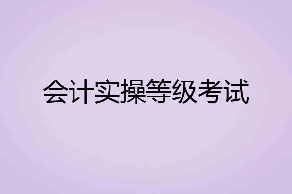 会计实操等级考试