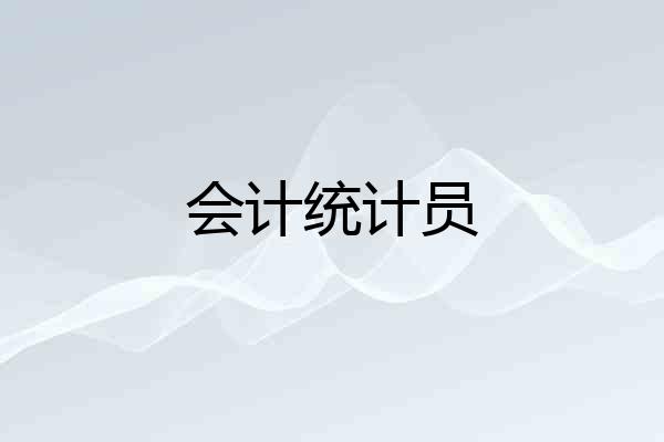 会计统计员