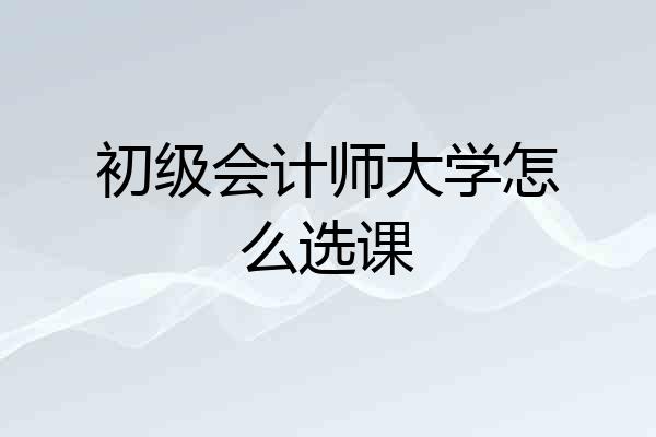 初级会计师大学怎么选课