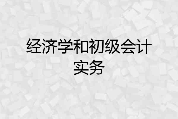 经济学和初级会计实务