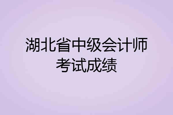 湖北省中级会计师考试成绩