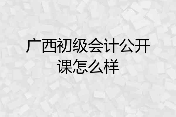 广西初级会计公开课怎么样
