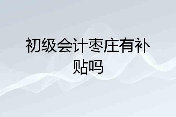 初级会计枣庄有补贴吗