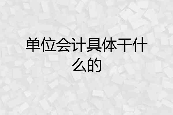 单位会计具体干什么的