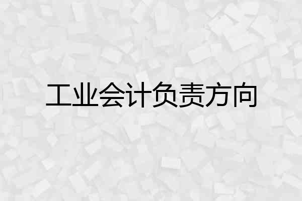 工业会计负责方向