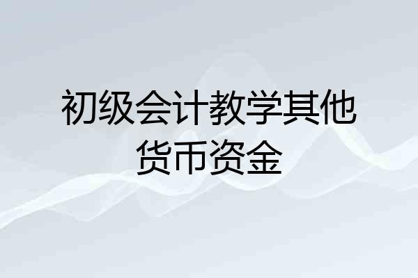 初级会计教学其他货币资金