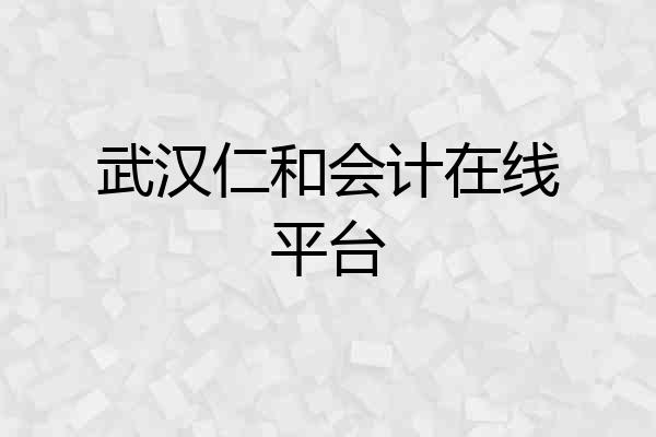 武汉仁和会计在线平台