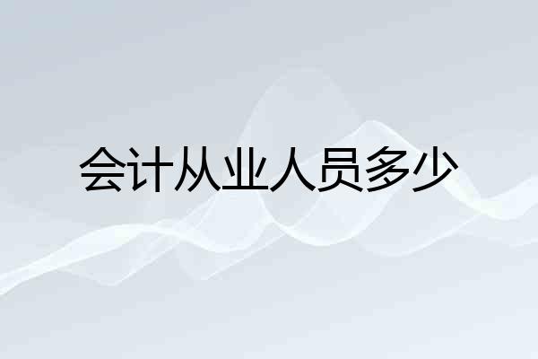 会计从业人员多少