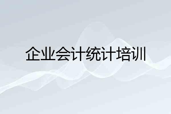 企业会计统计培训