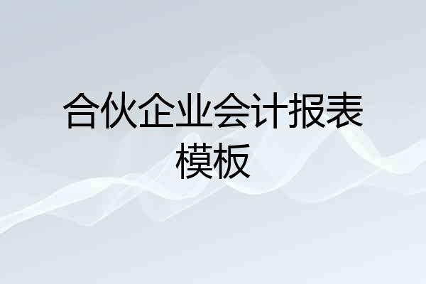合伙企业会计报表模板