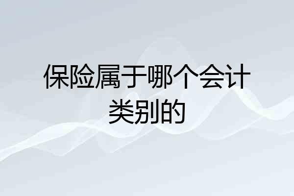 保险属于哪个会计类别的