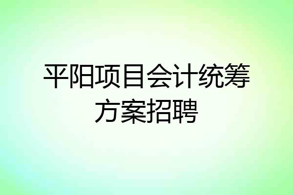平阳项目会计统筹方案招聘