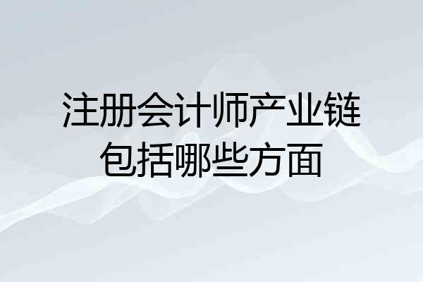 注册会计师产业链包括哪些方面