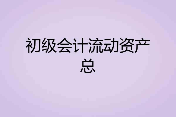 初级会计流动资产总