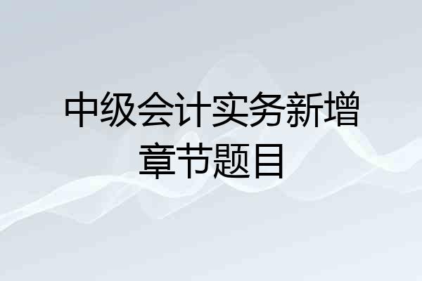中级会计实务新增章节题目