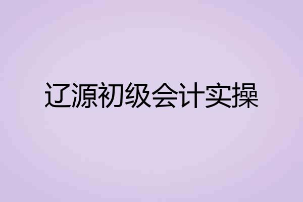 辽源初级会计实操