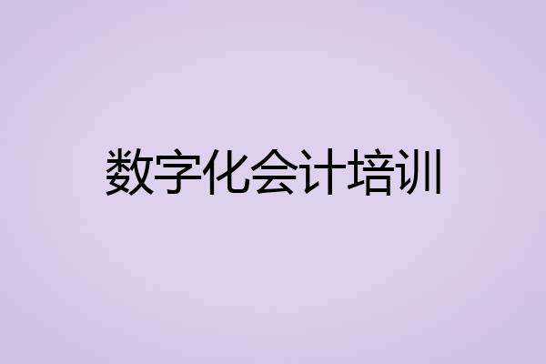 数字化会计培训