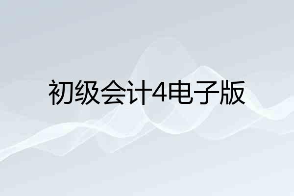 初级会计4电子版