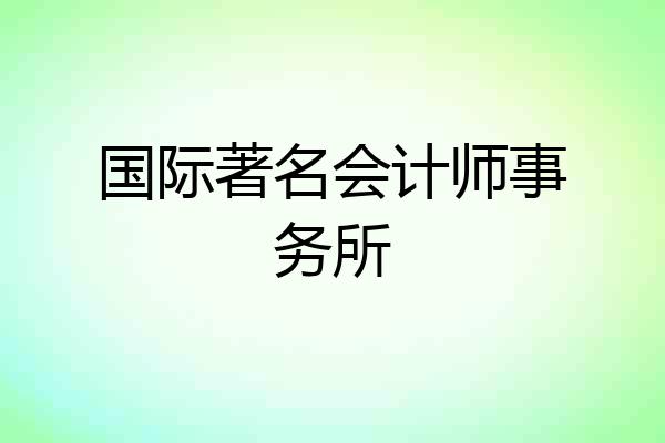 国际著名会计师事务所
