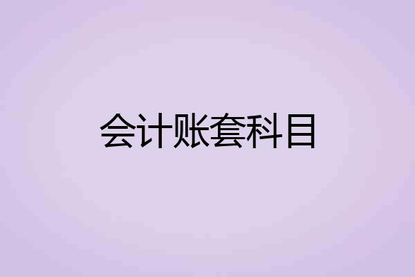 会计账套科目