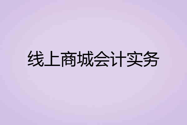 线上商城会计实务