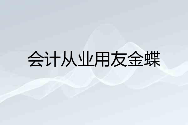 会计从业用友金蝶