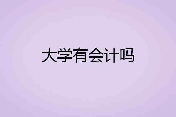 大学有会计吗