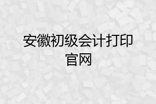 安徽初级会计打印官网