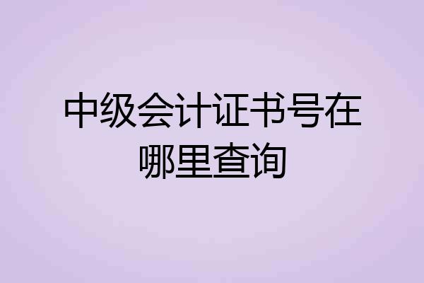 中级会计证书号在哪里查询