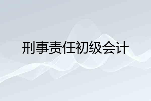 刑事责任初级会计