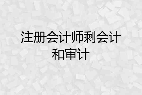 注册会计师剩会计和审计