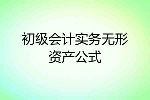 初级会计实务无形资产公式