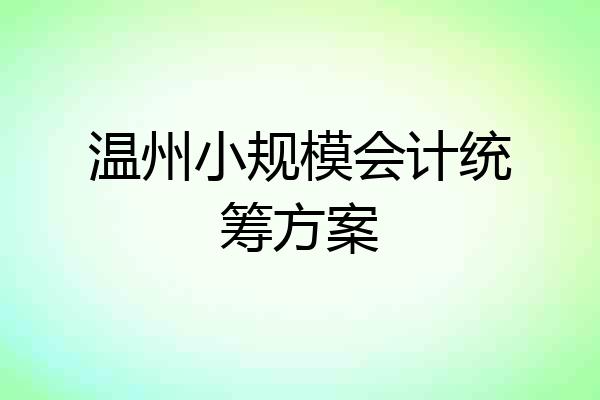 温州小规模会计统筹方案