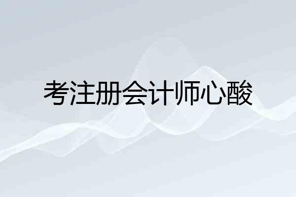 考注册会计师心酸