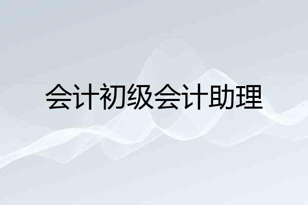 会计初级会计助理
