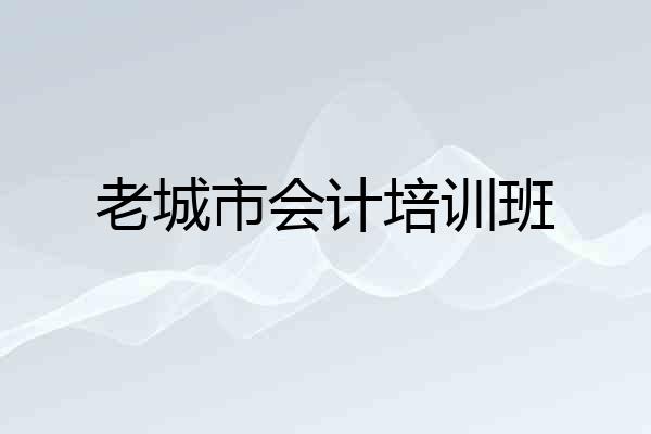 老城市会计培训班
