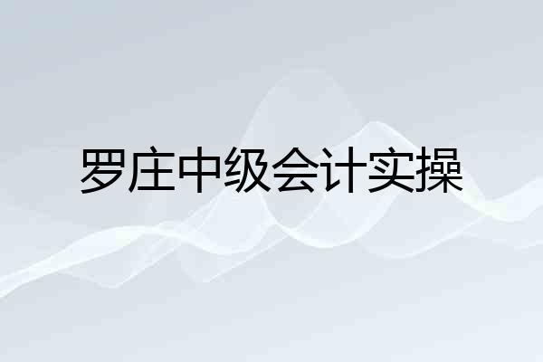 罗庄中级会计实操