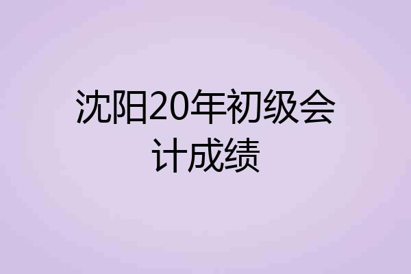 沈阳20年初级会计成绩