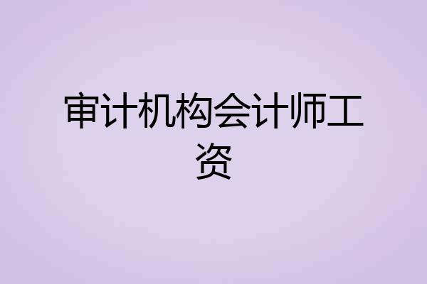 审计机构会计师工资