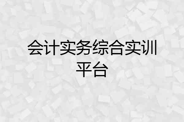 会计实务综合实训平台