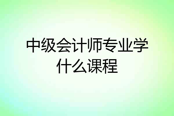 中级会计师专业学什么课程