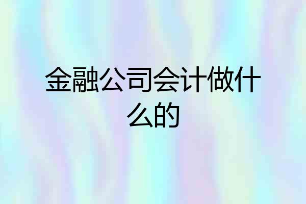 金融公司会计做什么的