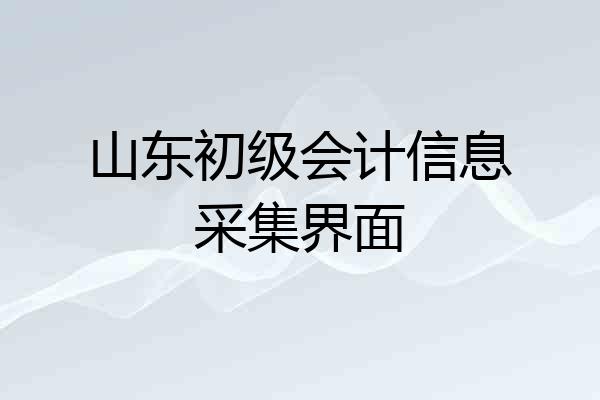 山东初级会计信息采集界面