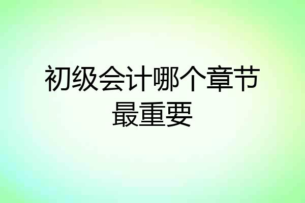 初级会计哪个章节最重要